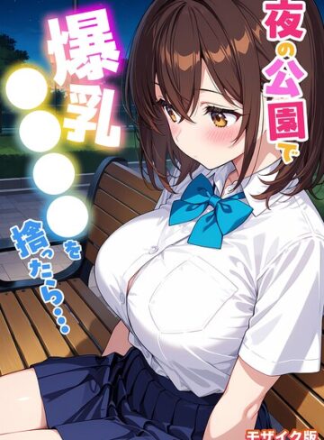 StudioSR❤夜の公園で爆乳●●●●を拾ったら… モザイク版- フルカラー